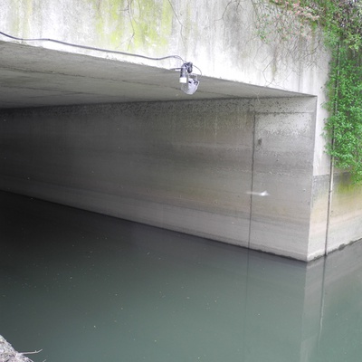 Phoenix Application 01 Belgium.JPG